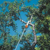 Stihl Pole Pruners