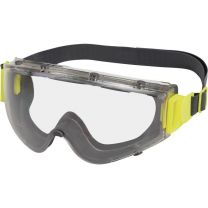 Delta Plus Clear Polycarbonate Goggles