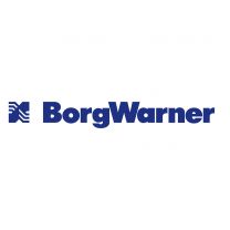 BorgWarner 314793