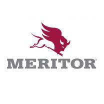 Meritor Bearing -  inner&outer