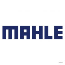 Mahle conrod bearing set DAF STD.